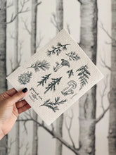 Load image into Gallery viewer, Forest Finds Sponge Cloth