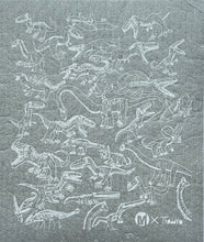 Load image into Gallery viewer, Dino World Sponge Cloth (Set of 2)