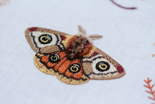Load image into Gallery viewer, Embroidery Stitch Sampler - Moth