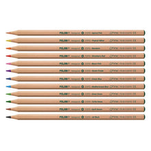 Load image into Gallery viewer, Box 12 hexagonal colour pencils, FSC®-certified wood
