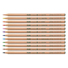Load image into Gallery viewer, Box 12 hexagonal colour pencils, FSC®-certified wood