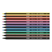 Load image into Gallery viewer, Box 10 ERGO coloured pencils + sharpener