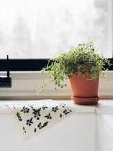 Load image into Gallery viewer, Blueberry Gift Set