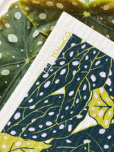 Load image into Gallery viewer, Foli x Ten and Co. Sponge Cloth