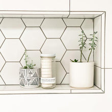 Load image into Gallery viewer, EUCALYPTUS STEAM® - Cleansing vapors for the shower™.