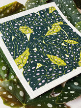 Load image into Gallery viewer, Foli x Ten and Co. Sponge Cloth