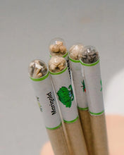Load image into Gallery viewer, Recycled Paper Plantable Seed Pens - Gift Box
