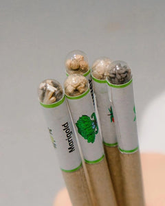 Recycled Paper Plantable Seed Pens - Gift Box