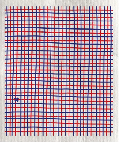 Nautical Grid Sponge Cloth
