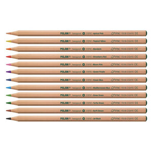 Box 12 hexagonal colour pencils, FSC®-certified wood