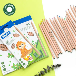 Box 12 hexagonal colour pencils, FSC®-certified wood