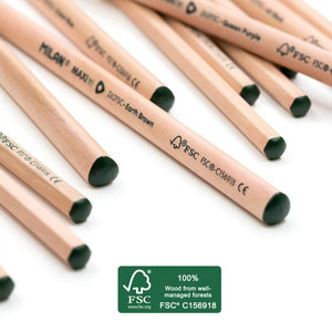 Box 12 hexagonal colour pencils, FSC®-certified wood