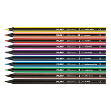 Load image into Gallery viewer, Box 10 ERGO coloured pencils + sharpener
