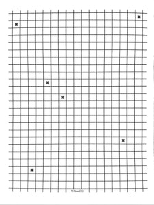 XL Graph Sponge Cloth Mat