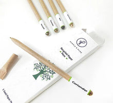 Load image into Gallery viewer, Recycled Paper Plantable Seed Pens - Gift Box
