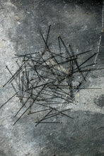 Load image into Gallery viewer, Entomology Pins
