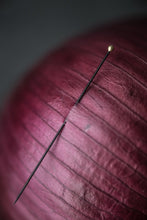 Load image into Gallery viewer, Entomology Pins
