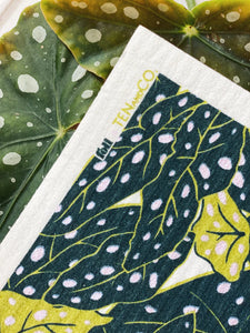 Foli x Ten and Co. Sponge Cloth