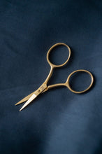 Load image into Gallery viewer, Fine Work Gold Scissors

