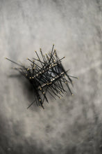 Load image into Gallery viewer, Entomology Pins
