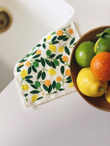 Citrus Mix Sponge Cloth