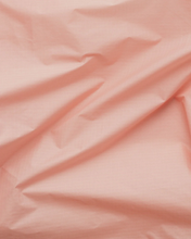 Load image into Gallery viewer, Standard Baggu Pink Salt
