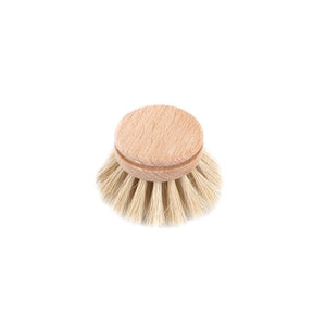 Dish Brush Everyday Refill