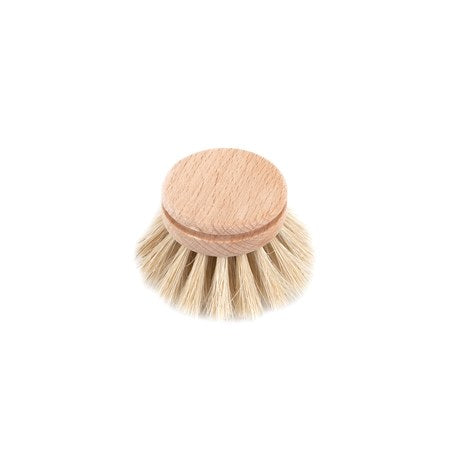 Dish Brush Everyday Refill