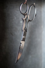 Load image into Gallery viewer, Kitchen 8.5&quot; Scissors
